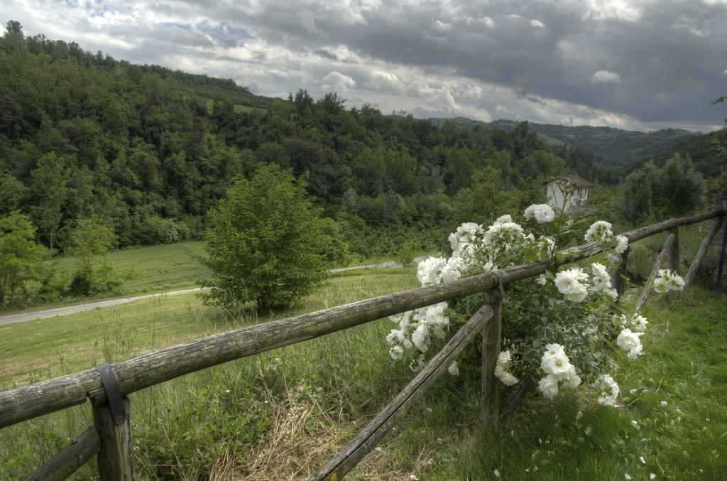 B&B Il Sole Delle Rive Sinio Exterior foto
